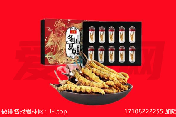 厦门市翔安回收虫草.jpg